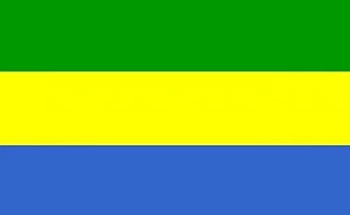 DANF Gabon Flag 3x5 Foot The Gabonese Republic National Flags Polyester with Brass Grommets 3x5 Ft Flag