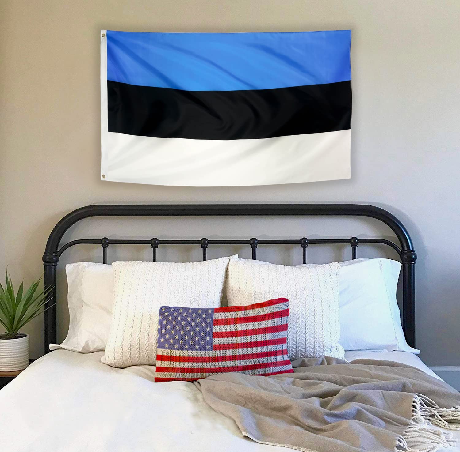 DANF FLAG Estonia Flag 3x5 Foot Polyester Estonian National Flags Polyester with Brass Grommets 3 X 5 Ft