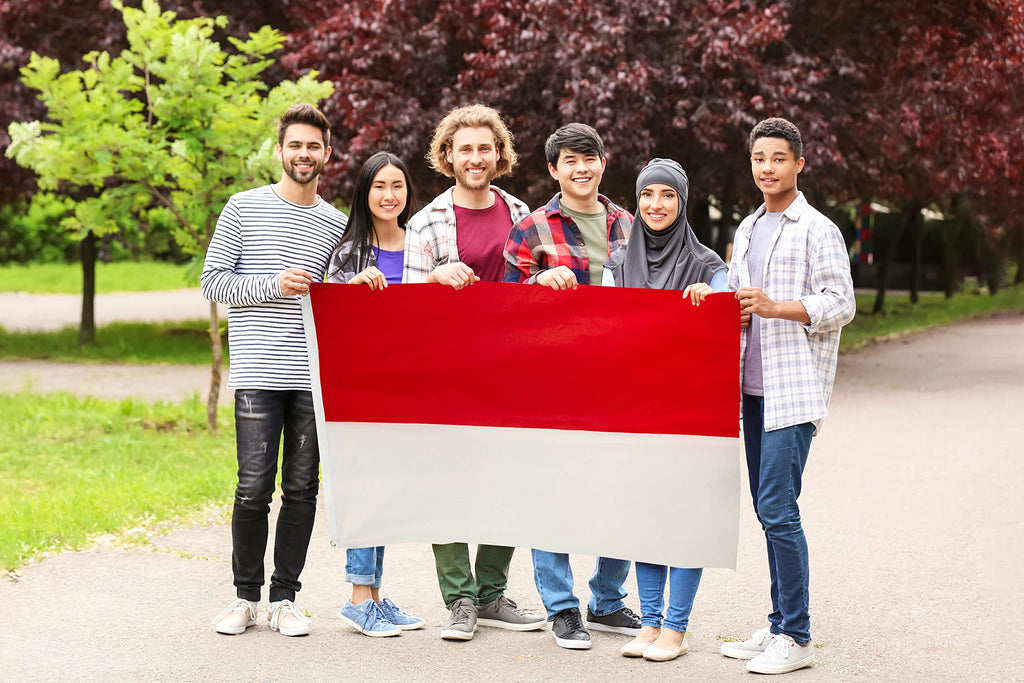 DANF Indonesia Flag 3x5 Ft Thick Polyester, Fade Resistant, Brass Grommets, Canvas Header,Double Sided Indonesian National Flags 3x5 Feet