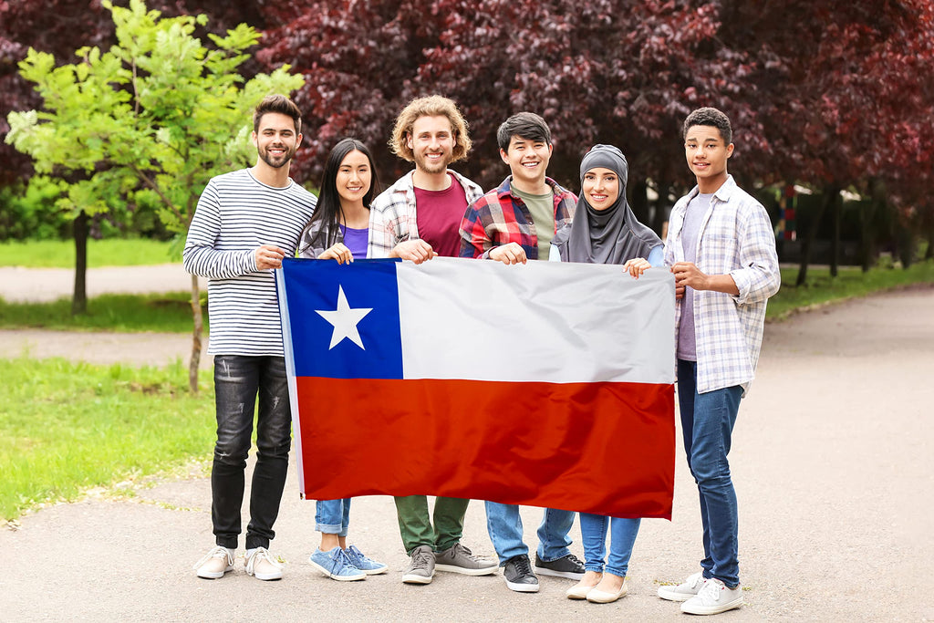 DANF Chile Flag 3x5 Ft Thick Polyester, Fade Resistant, Brass Grommets, Canvas Header Double Sided Chilean Flags 3 X 5 Feet