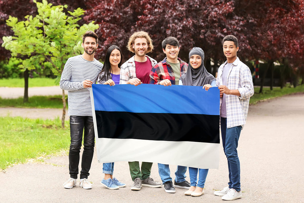 DANF FLAG Estonia Flag 3x5 Foot Polyester Estonian National Flags Polyester with Brass Grommets 3 X 5 Ft