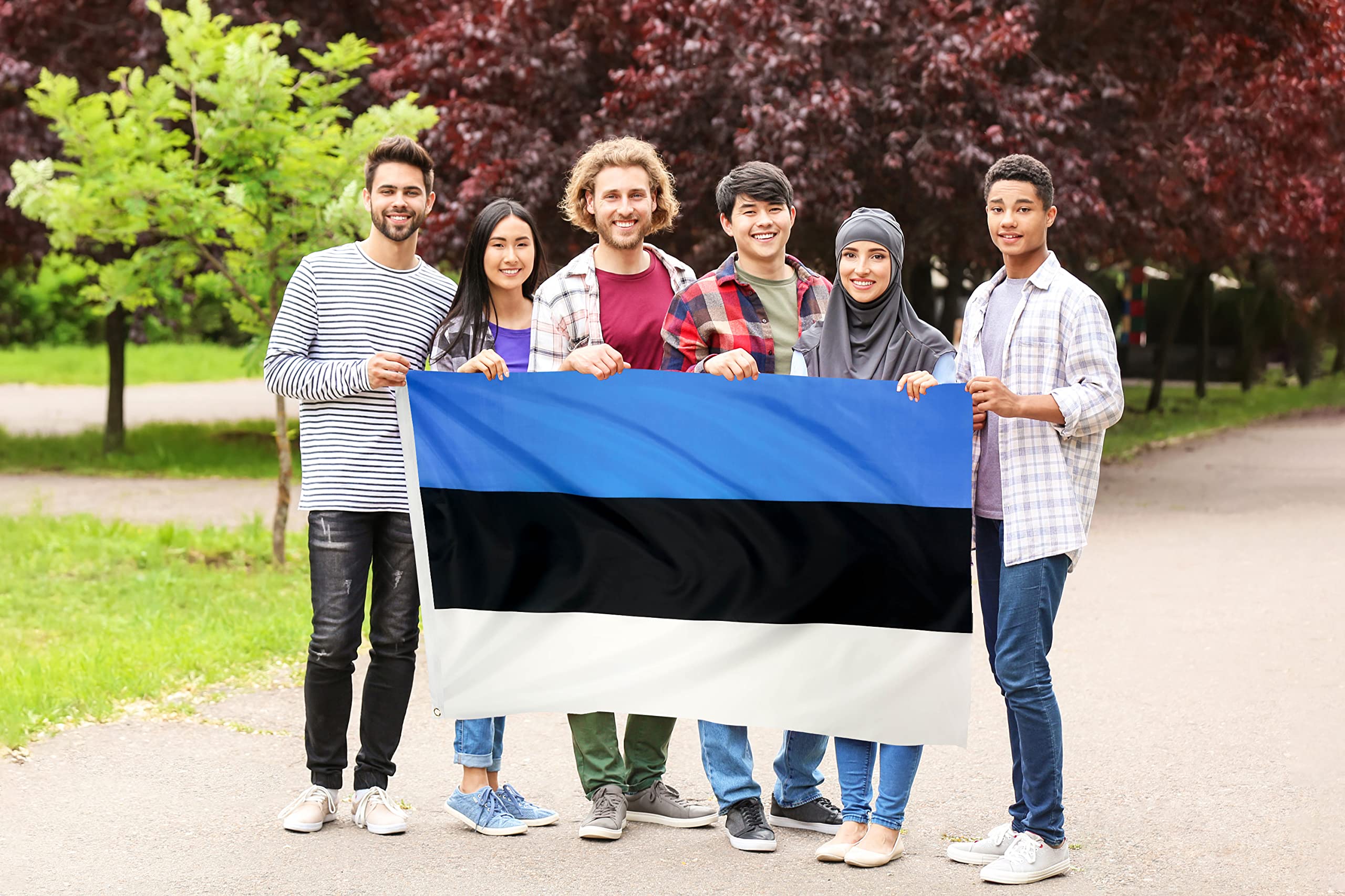 DANF FLAG Estonia Flag 3x5 Foot Polyester Estonian National Flags Polyester with Brass Grommets 3 X 5 Ft