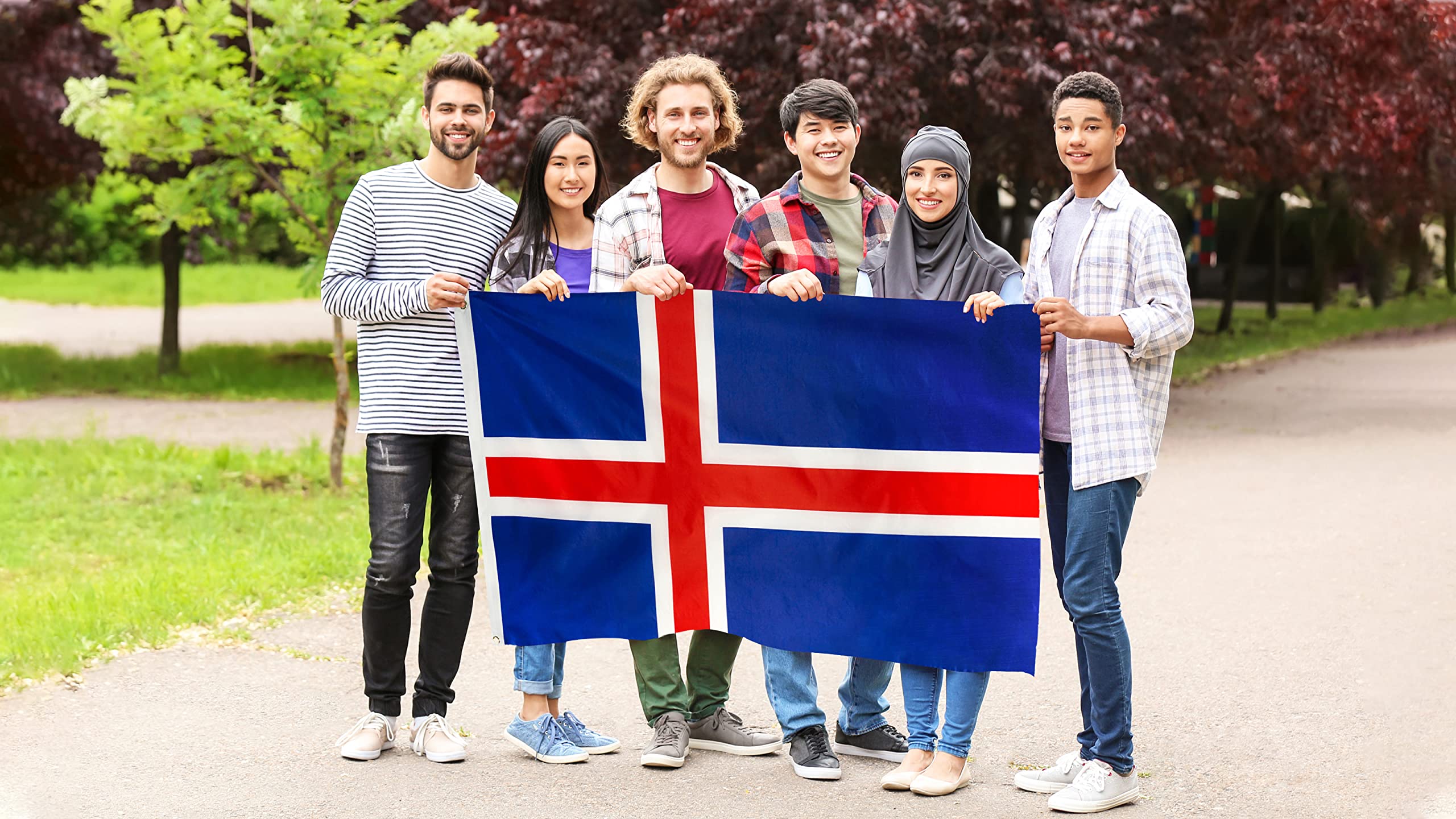 DANF Iceland Flag 3x5 Foot Polyester Icelandic National Flags Polyester with Brass Grommets 3 X 5 Ft