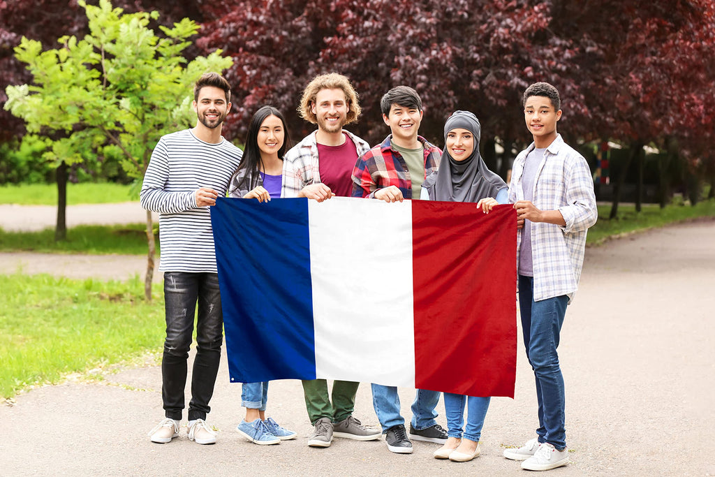 DANF French France Flag 3x5 ft Thicker Polyester French National Flags Double Sided with Two Brass Grommets 3x5 Foot Flag