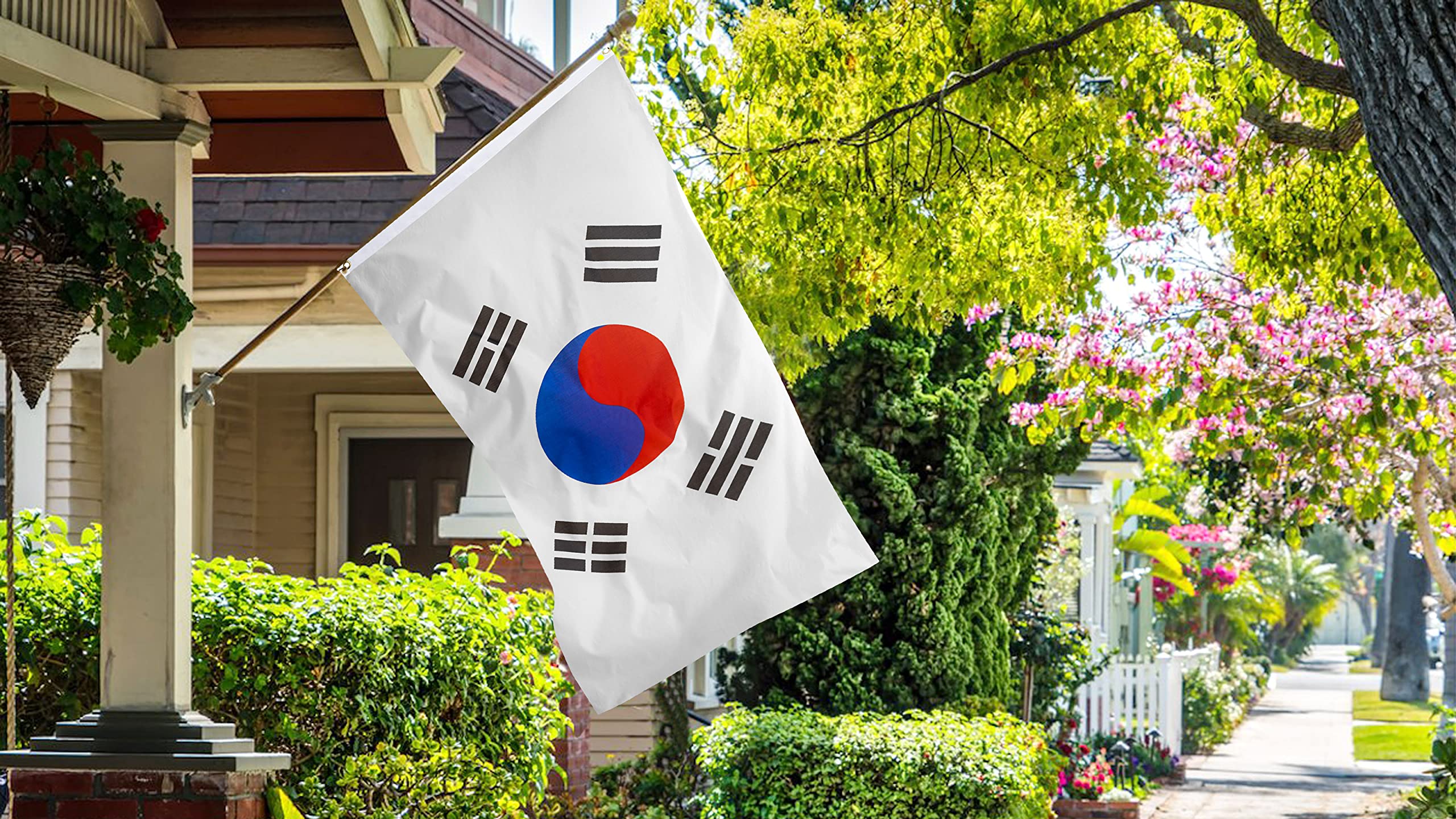 DANF FLAG South Korea Flag 3x5 Foot Polyester S Korean National Flags Polyester with Brass Grommets 3 X 5 Ft