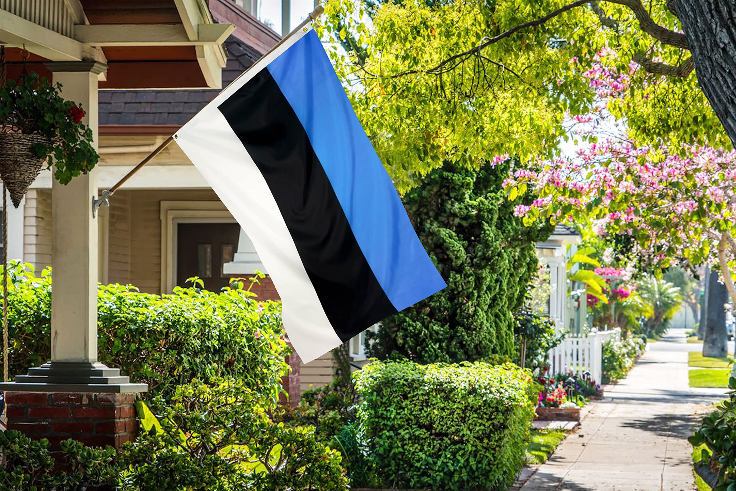 DANF FLAG Estonia Flag 3x5 Foot Polyester Estonian National Flags Polyester with Brass Grommets 3 X 5 Ft