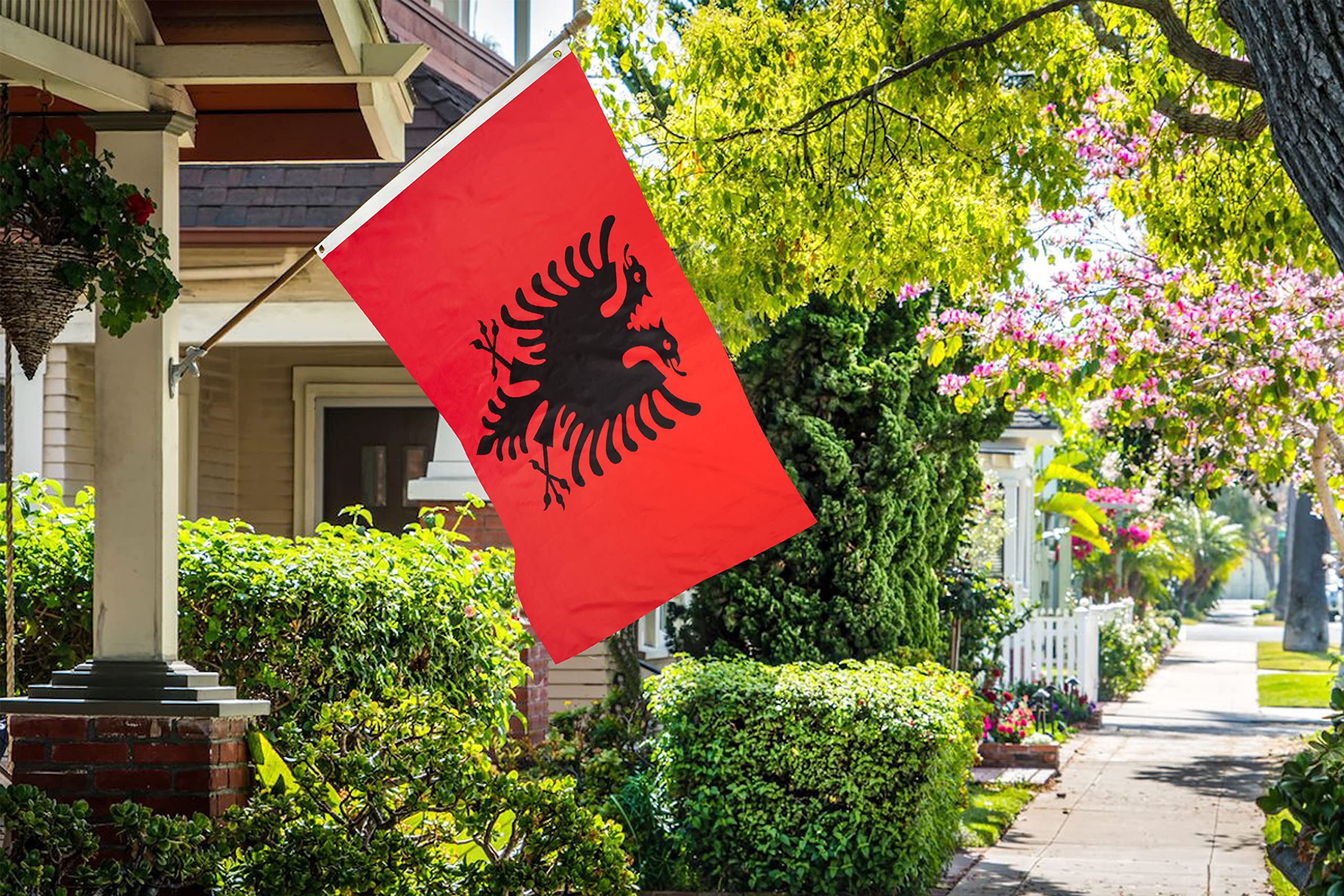 DANF Albania Flag 3x5 Foot Albanian National Flags Polyester with Brass Grommets 3 X 5 Ft